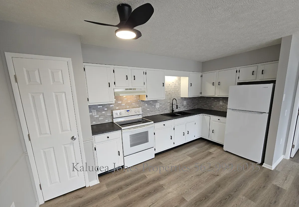 Freshly remodeled kitchen - 164 Grand Manor Dr #164