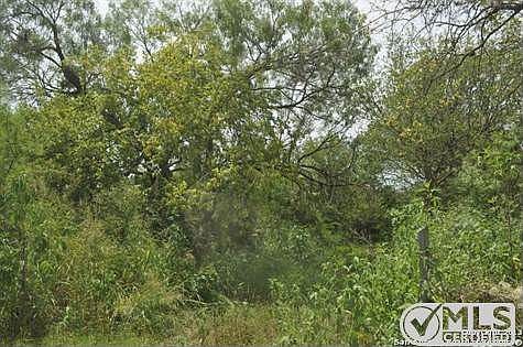 2nd image of 1516 Braubach