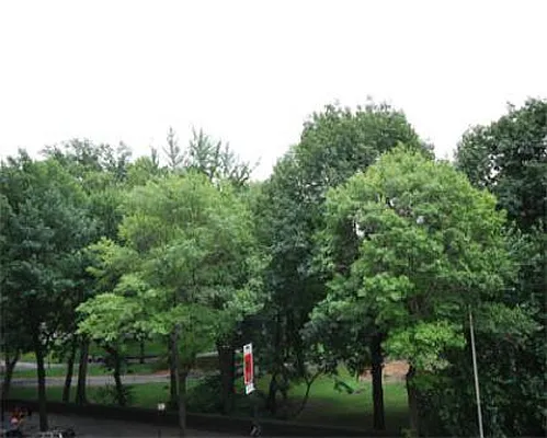 Sold by Olshan Realty | media 10