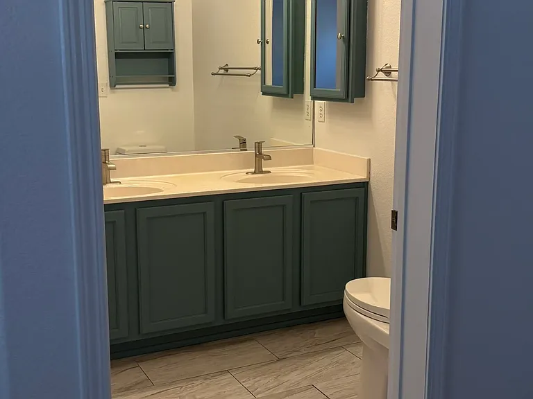 Primary Bedroom Bathroom