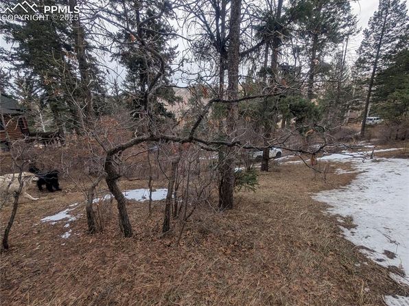 Mountain Rd, Cascade, CO 80809
