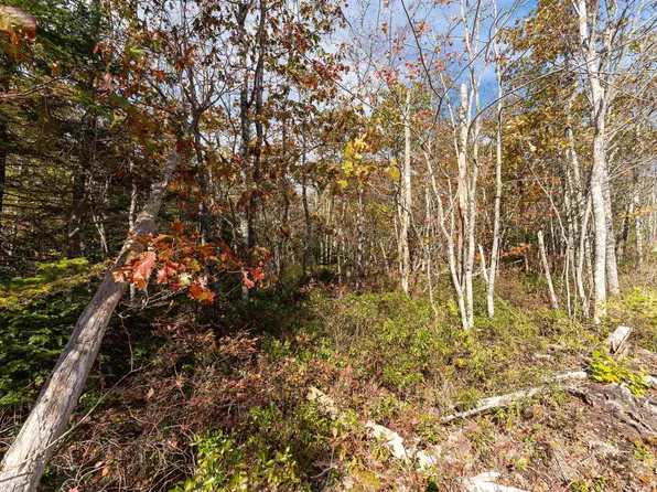 Morton Dr #65, Queens, NS B0T 1K0