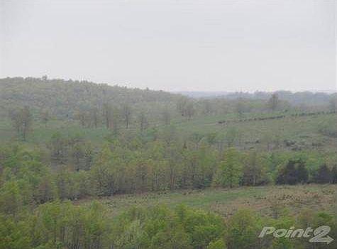Typical view of the NW part of ranch with pasture and woods.