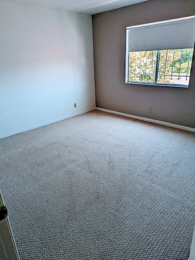 8 bed, 5405 sqft, $1,000 — Photo 1