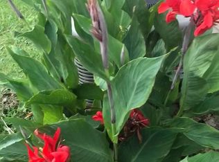 381 Flint Ridge Ct, Jonesboro, GA 30238