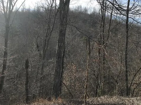 19 7.01 E Us Rte #Of-27, Sunbright, TN 37872