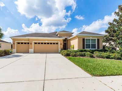 11015 Wembley Landing Dr, Lithia, FL, 33547