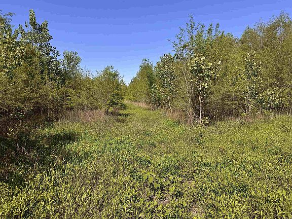 5th image of 1 Arm Lake Rd