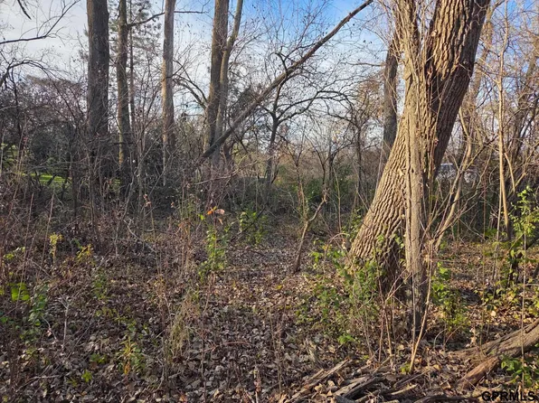 Mad Hatter Ln, Blair, NE 68008