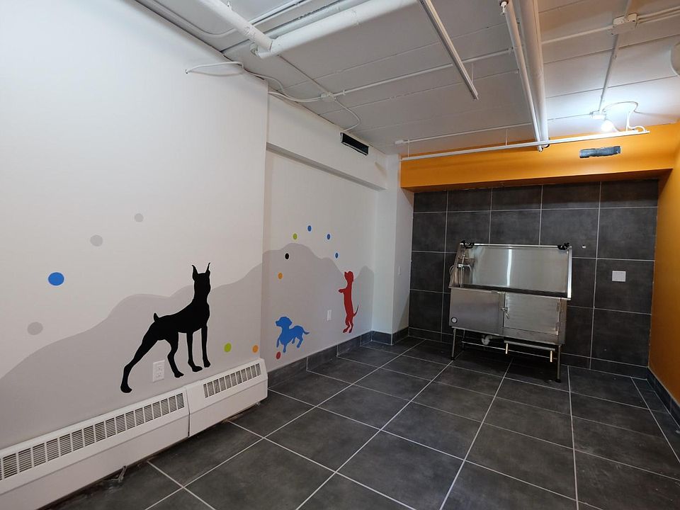 Dog Grooming Station