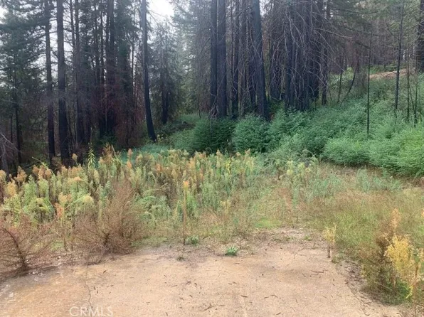 837 Chaparral Rd, Boulder Creek, CA 95006