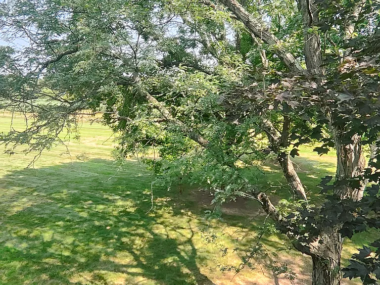 View from the Balcony