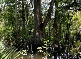 405 C, Lake Panasoffkee, FL 33538