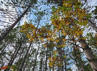 40 Acres Forks Rd, Merrill, WI 54452