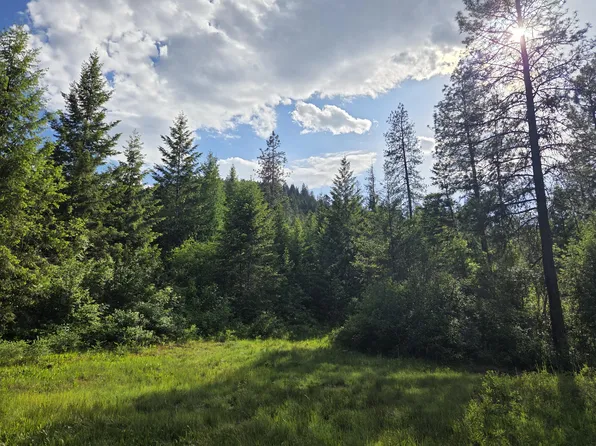 3XX Buscher Way, Colville, WA 99114