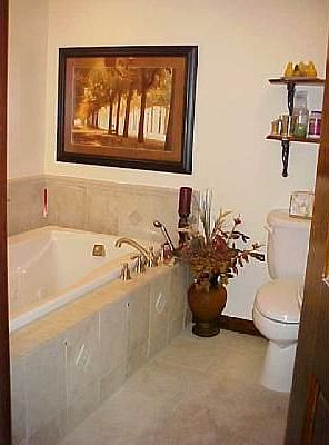 Lower level full bath with jet tub