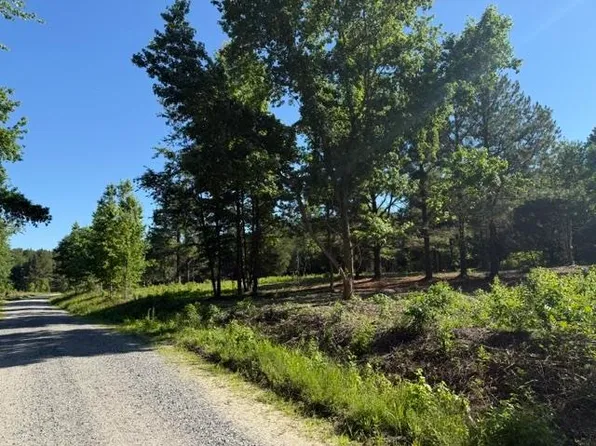 491 Crow Ln. #Crow Burk Road (60 acres), Pageland, SC 29728