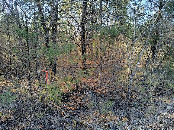 3rd image of 000 County Road 648