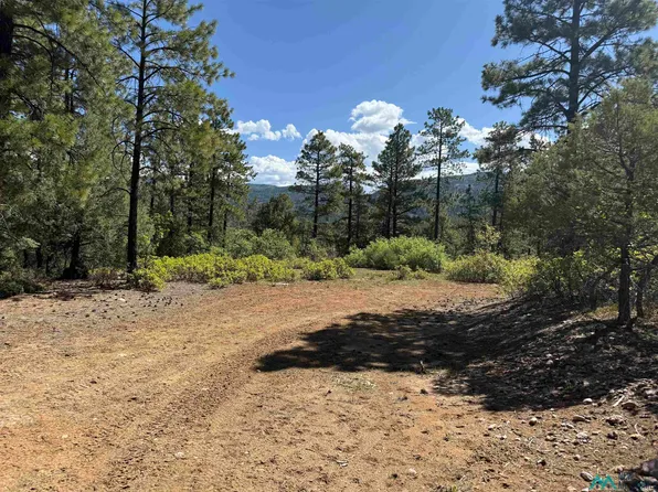 Buckman Rd, Chama, NM 87520