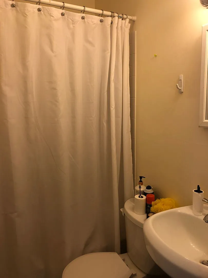 3 bed in Beacon Hill — Photo 3