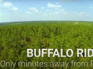 LOT 62 Buffalo Ridge Rd, Milton, FL 32571