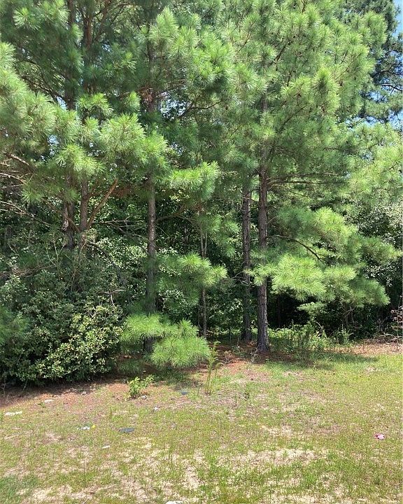 23 Camwood Dr, Lumber Bridge, NC 28357 Zillow