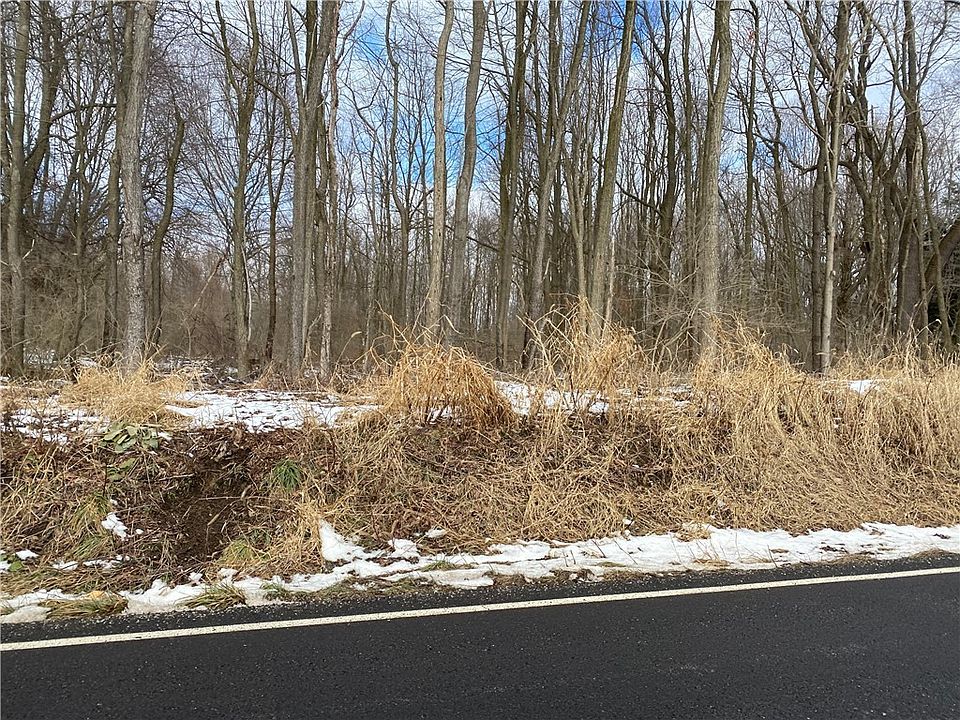 2nd image of 865 Evergreen Dr