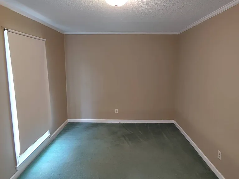 107 Pinewood Dr — Photo 9