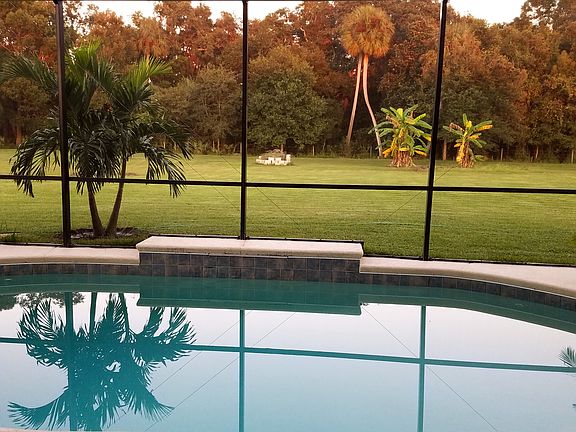 Pool w/solar