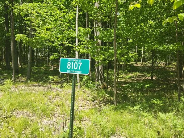 8107 Deer Ridge Ct, Baileys Harbor, WI 54202