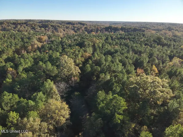 Perry Creek Rd, Bentonia, MS 39040