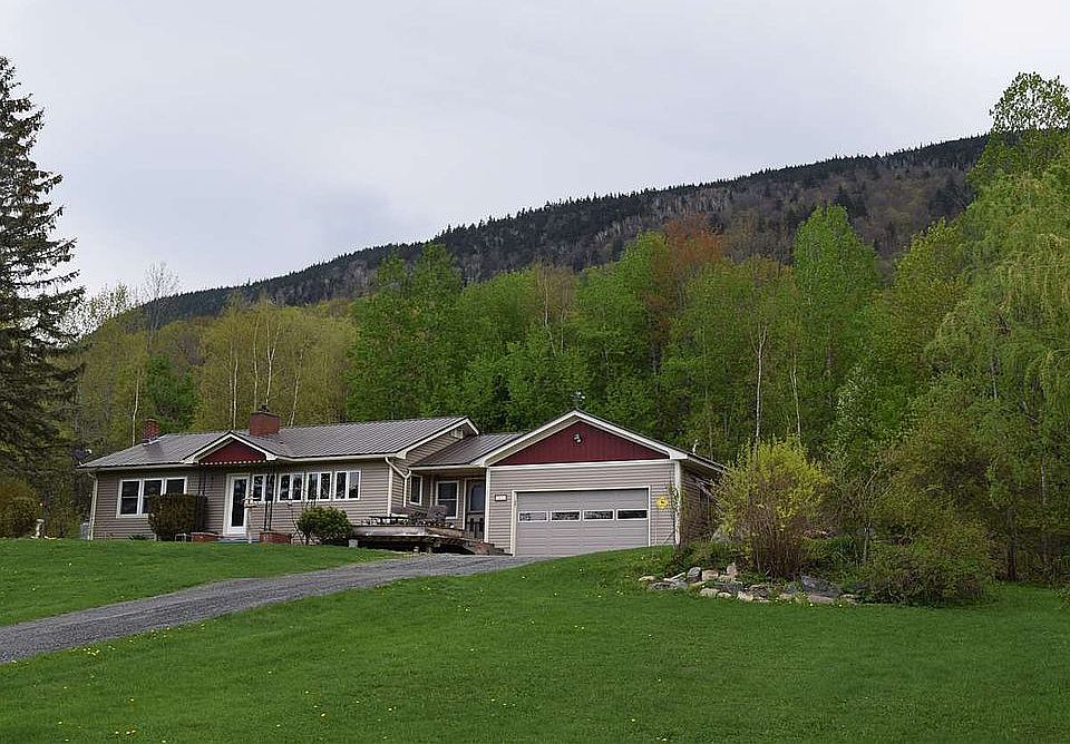 Street view during summer