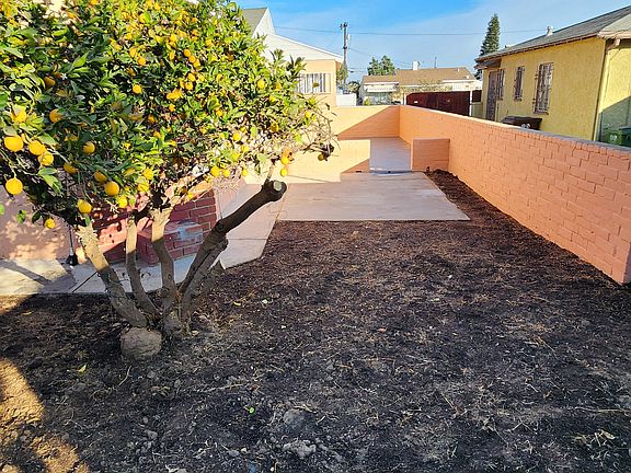 Backyard side view
