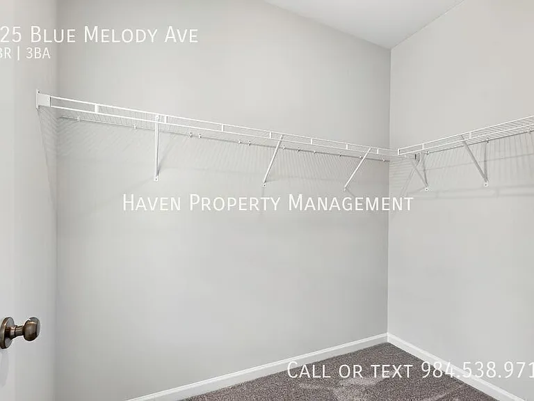 125 Blue Melody Ave — Photo 24