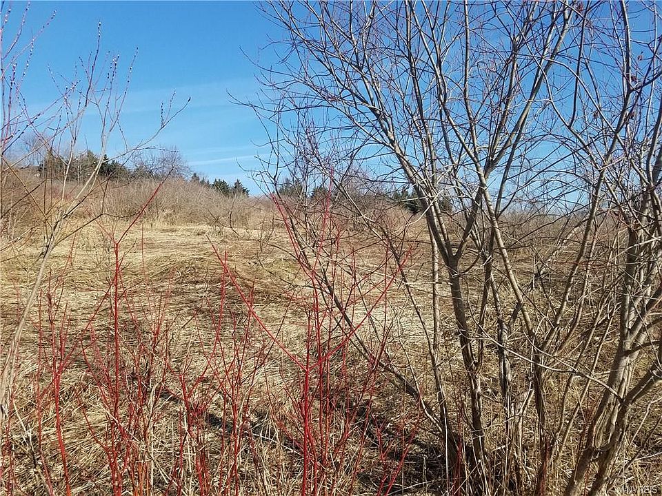 2nd image of 0 Rohr Hill Rd