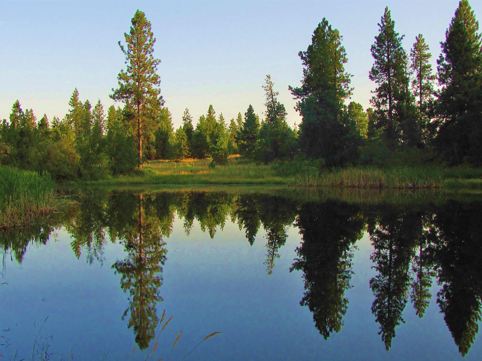 9007 W Jensen Rd, Cheney, WA 99004 | MLS #202316870 | Zillow