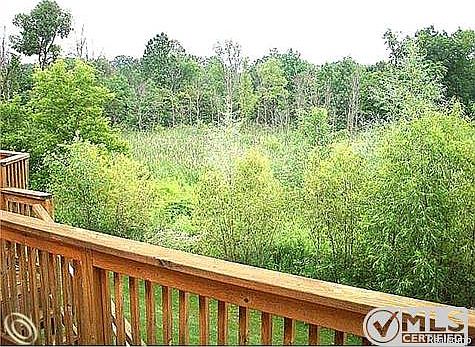 View from Deck.jpg