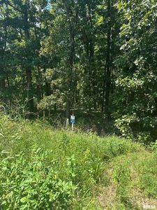 0 Hawthorn Point, Goreville, IL, 62939