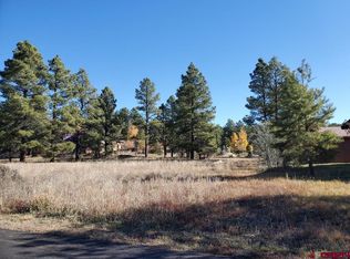 1471 Lake Forest Cir, Pagosa Springs, CO 81147