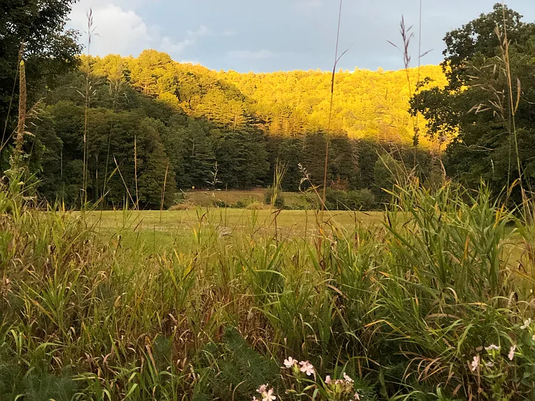 3015 State Route 14 — Photo 16