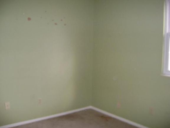 5th image of 272 Wiesen Ln