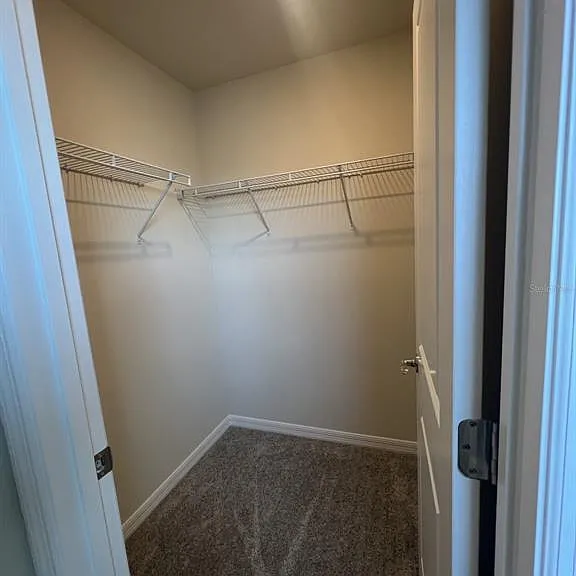 3355 Vine Leaf St — Photo 26