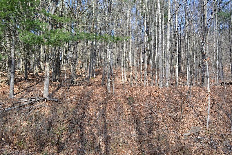 5th image of 0 SUMMIT LAKE Road