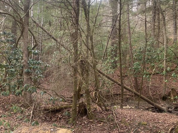 (undisclosed Address), Sunbright, TN 37872