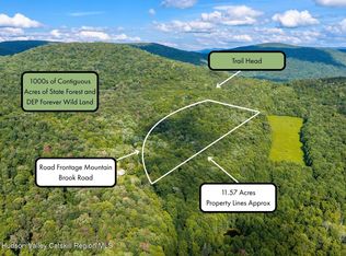 Lot 22 Mountain Brook Road, Bovina, NY 13740