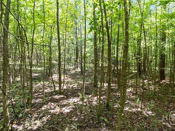 3rd image of 1141 Apalachee Meadows Drive