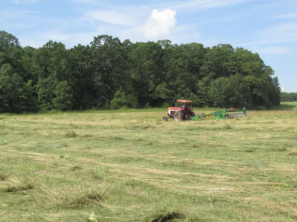 2 Owl Trail, Conway, MO 65632