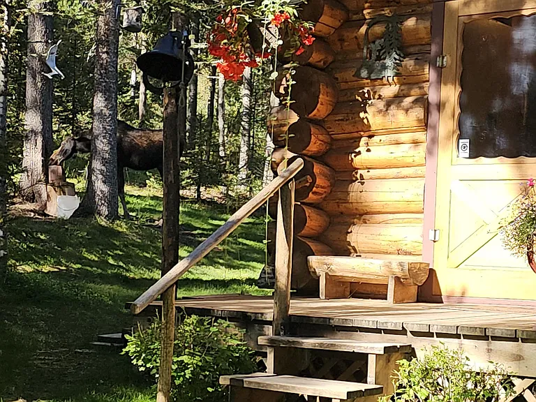 6550 Lodgepole Trl — Photo 3