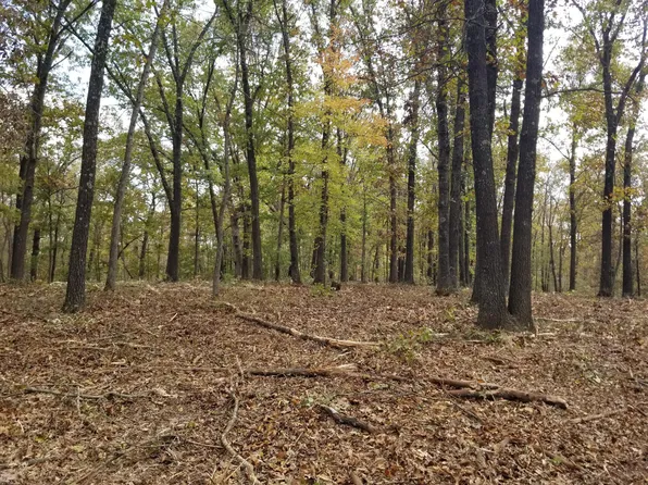Tract 7 Creekwood Lane, Anderson, MO 64831