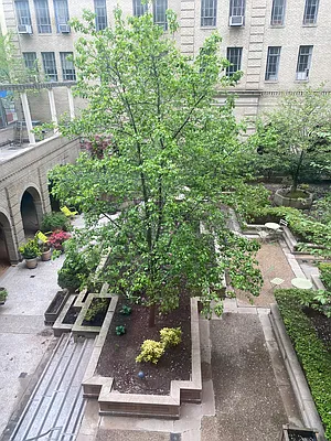 Rented by Douglas Elliman | media 19